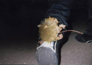 shatfoot.jpg